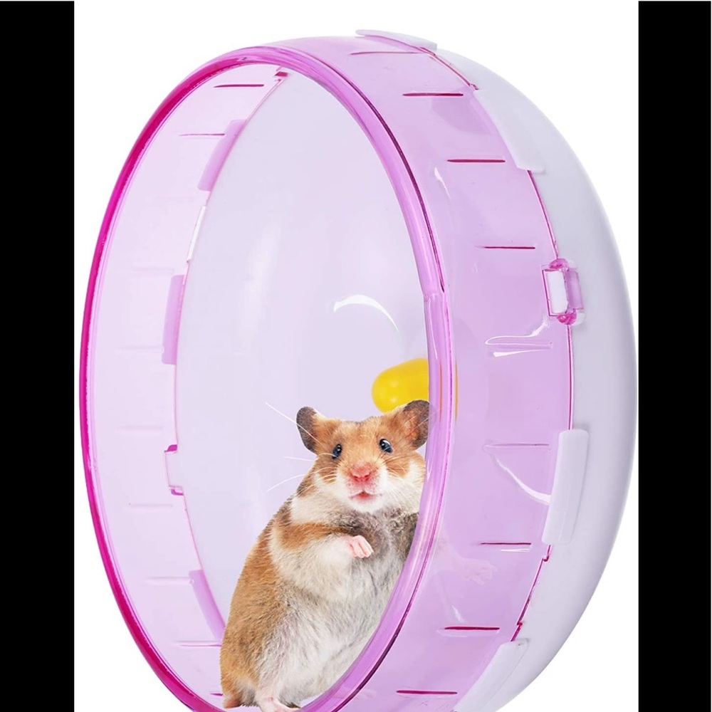 Pet wheel